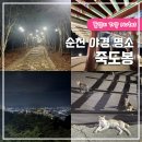 순천조곡동우체국 화장실 | 순천 데이트 야경 명소 죽도봉 순천 산책 드라이브 코스
