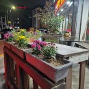 전통숫불바베큐 이미지