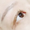 올마이틴팅 | (송파 문정동) 젤라스튜디오 :: 눈매 맞춤 속눈썹펌 후기, 워킹맘 아침 시간 단축템 (feat. 블랙틴팅)