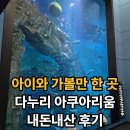 다누리센터 아쿠아리움 | 충북 단양 실내 아이와 가볼만한곳 | 4살 6살 형제와 다누리 아쿠아리움 내돈내산 후기