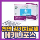 서정약국 이미지