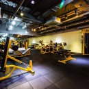 하이피트니스 이미지