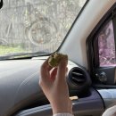 태안 머드캠프 펜션 이미지