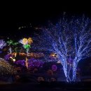 별빛정원B 이미지