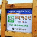 김필환농장 네이버블로그