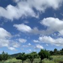 거문오름 오디하우스 이미지