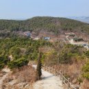 안산-대부-대부-풍도1 이미지