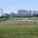 거로레인지골프 이미지