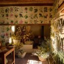 에코스테이 이미지