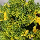 녹지원 농장 이미지