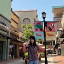 브리지데이 Breezy Day 이미지