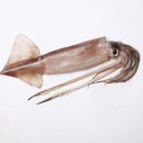 풍어횟집 이미지