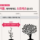 지디치과의원 네이버블로그