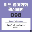 [중급편 098] 'I can't tell you / [how + 형용사/ S V~]'(말도 못하게 S주어가 V동사한다) 이미지