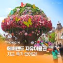 게스트하우스에버 | 에버랜드 할인 자유이용권 가격 오후 입장권 필수 준비물