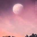 놀이체험극 <남도야 놀자> | 초록초록 힐링하러 떠난 담양여행🎍