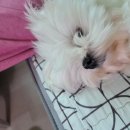 네임드 살롱 이미지