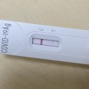 세시의철사씨 | 3년간 안 걸리던 코로나.... 2023년 4월에 코로나 걸린 사람의 후기.