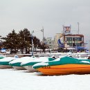 대포항