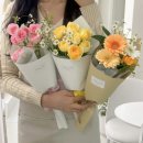꽃닮 이미지