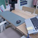 현풍초등 이미지