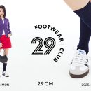 29 이미지