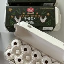 템파머 이미지