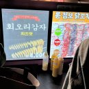 대전 가볼만한곳 2023 유성 국화축제 기간 유림공원 야경 불꽃 푸드트럭 후기