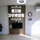 대청계곡부동산공인중개사사무소 | 김해시 장유 국립 용지봉자연휴양림