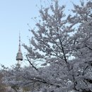 남산파출소 | [서울시 중구] 남산 서울N타워 더플레이스 다이닝 4인가족 식사 후기 및 주차