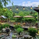 민들레울 이미지