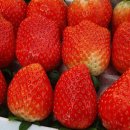 군위농장 이미지