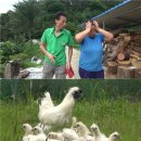 이영미농장 이미지