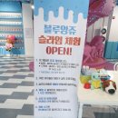 봉곡낚시터 | 구미 봉곡동 키즈카페 블루앙쥬 첫 방문! 넓고 깨끗하고 놀 거 많아요 :)