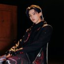 더뉴(the New) 이미지