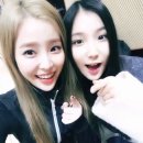 데이데이 스포츠한국