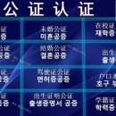 루다행정사사무소 이미지