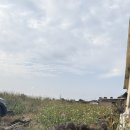 쏘그베 민박 이미지