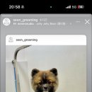 세온그루밍 이미지