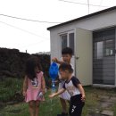 폭낭 올레집 이미지