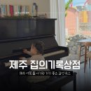 제주도 서쪽 곽지해변 아기랑 가기 좋은 감성숙소 집의기록상점