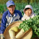 하트웰의원 | [정보] 하지정맥류 수술 후기