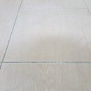 천년나무7 A 이미지