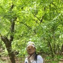 엘림 체육관 이미지