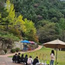 신석초교 | 인천신석초 송암스페이스센터 체험학습 🚨 안전요원 투입 후기 (버스 진입불가 상황 대응)