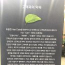 조윤찬 헤어캄