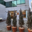 대성우체국 앞 이미지