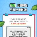 다솜고양이메디컬센터 이미지