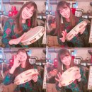 삼바 파고지 이미지