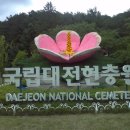 무명초